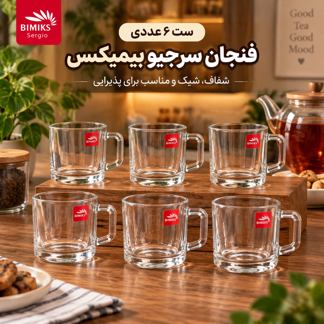 فنجان ۶ عددی سرجیو
